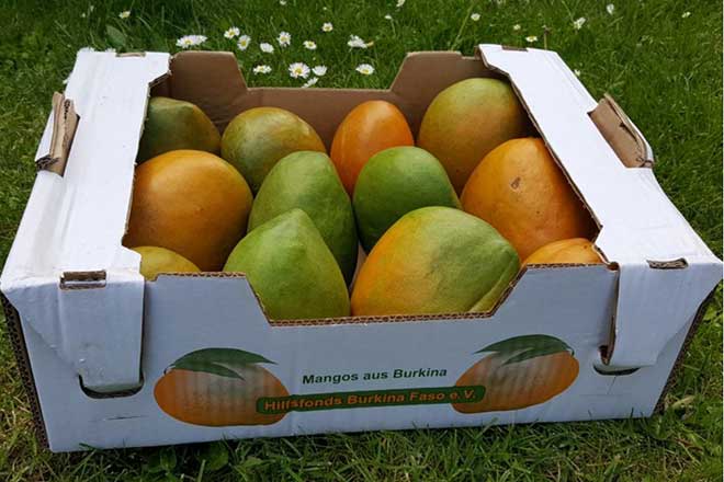 Mango Kiste groß