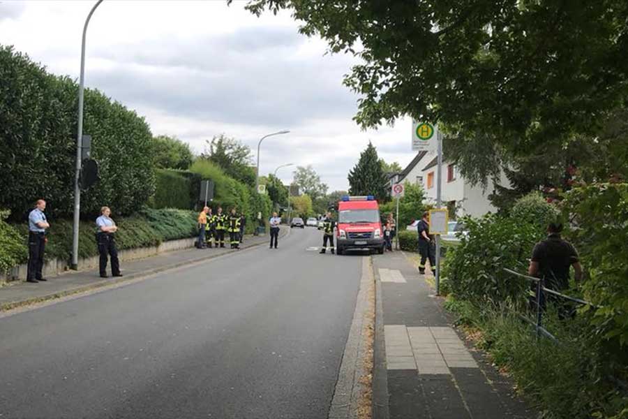 Feuerwehr bringt Gänsefamilie in Sicherheit 2 Gänse