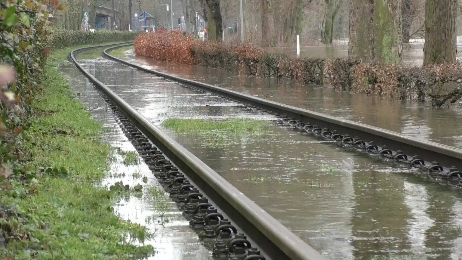 hochwasser rhein steigt weiter