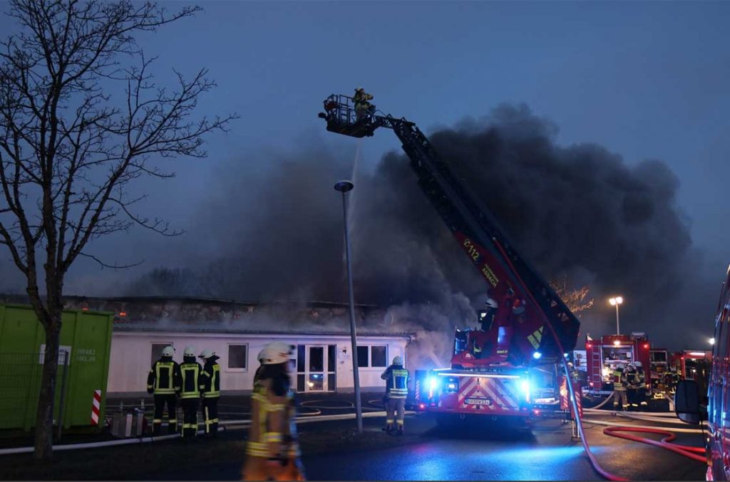 brand fernthal