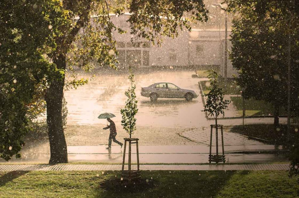 regen