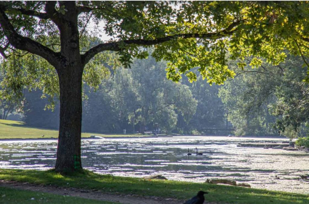 rheinauensee