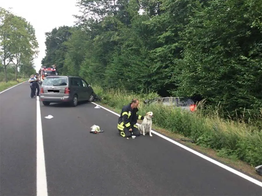 Die Feuerwehr rettete den Hund aus dem Unfallwagen - Foto: Polizei