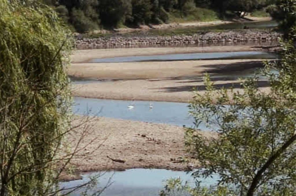 rheinarm