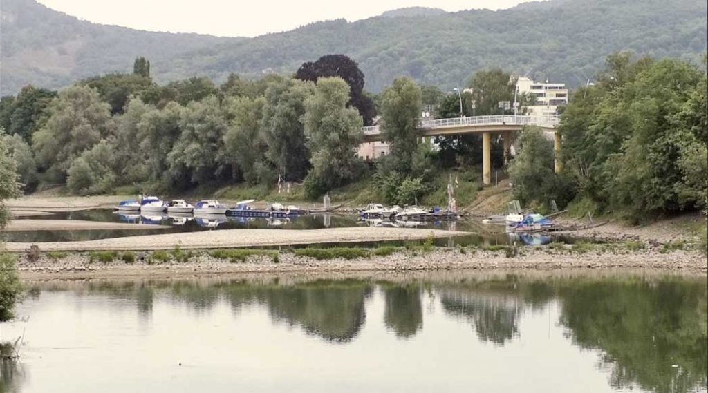 toter rheinarm