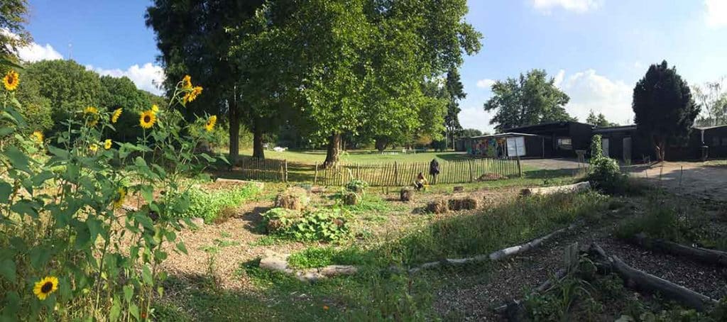 Buergerpark Unkel Gemeinschaftsgarten