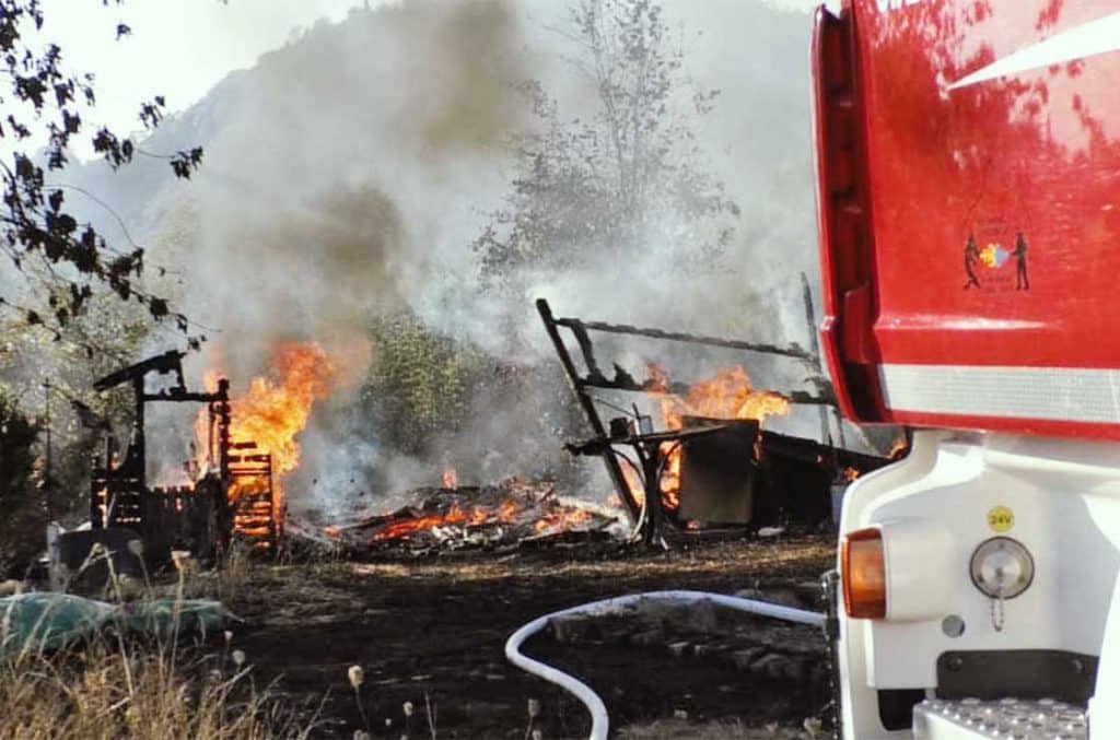 Feuer Wald