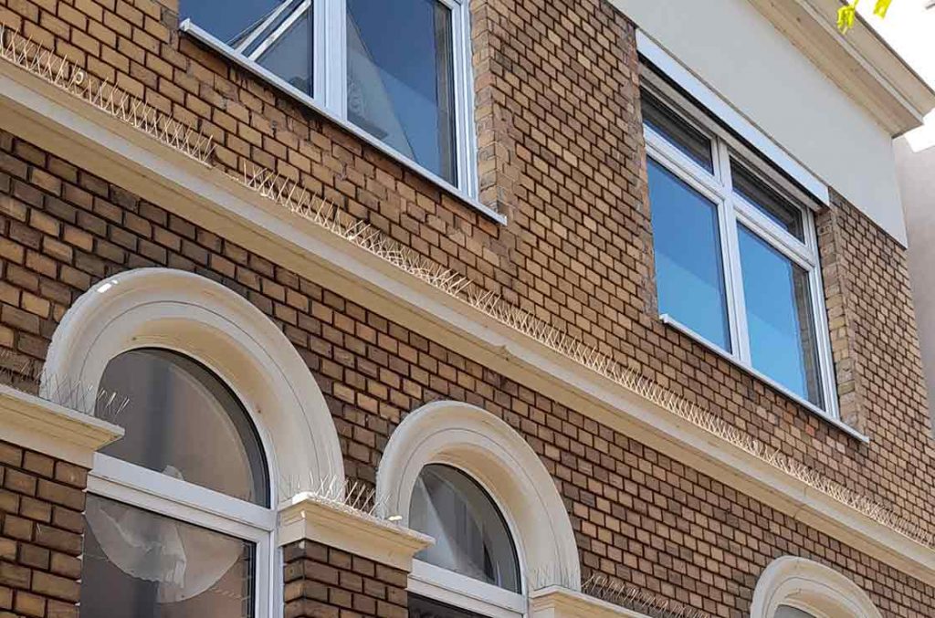 geburtshaus kellerstrasse 6