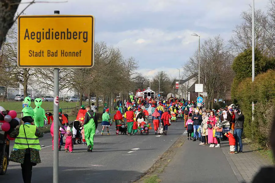 veilchendienstagszug (96)