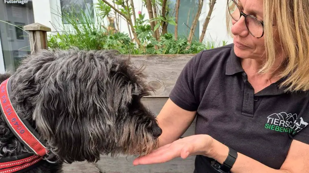 Sabine Ritzenhofen Leiterin der Hundeabteilung