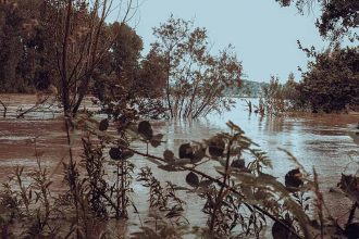 Insel Hochwasser 10