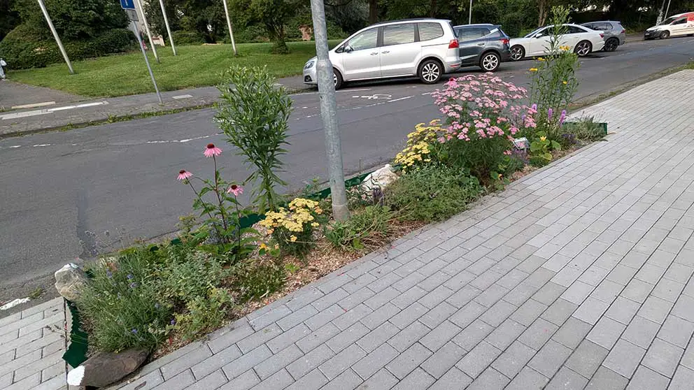 gruenpatinnen