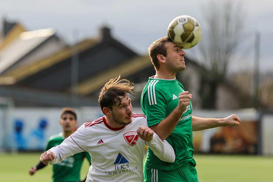 HFV2 Wolsdorf2 15