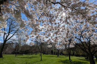Reitersdorfer Park 1