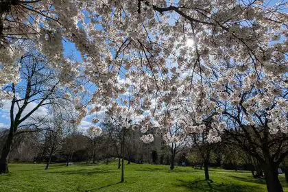 Reitersdorfer Park 1