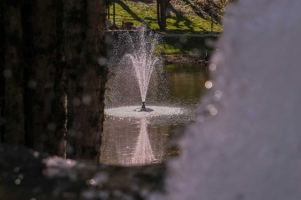Reitersdorfer Park 4