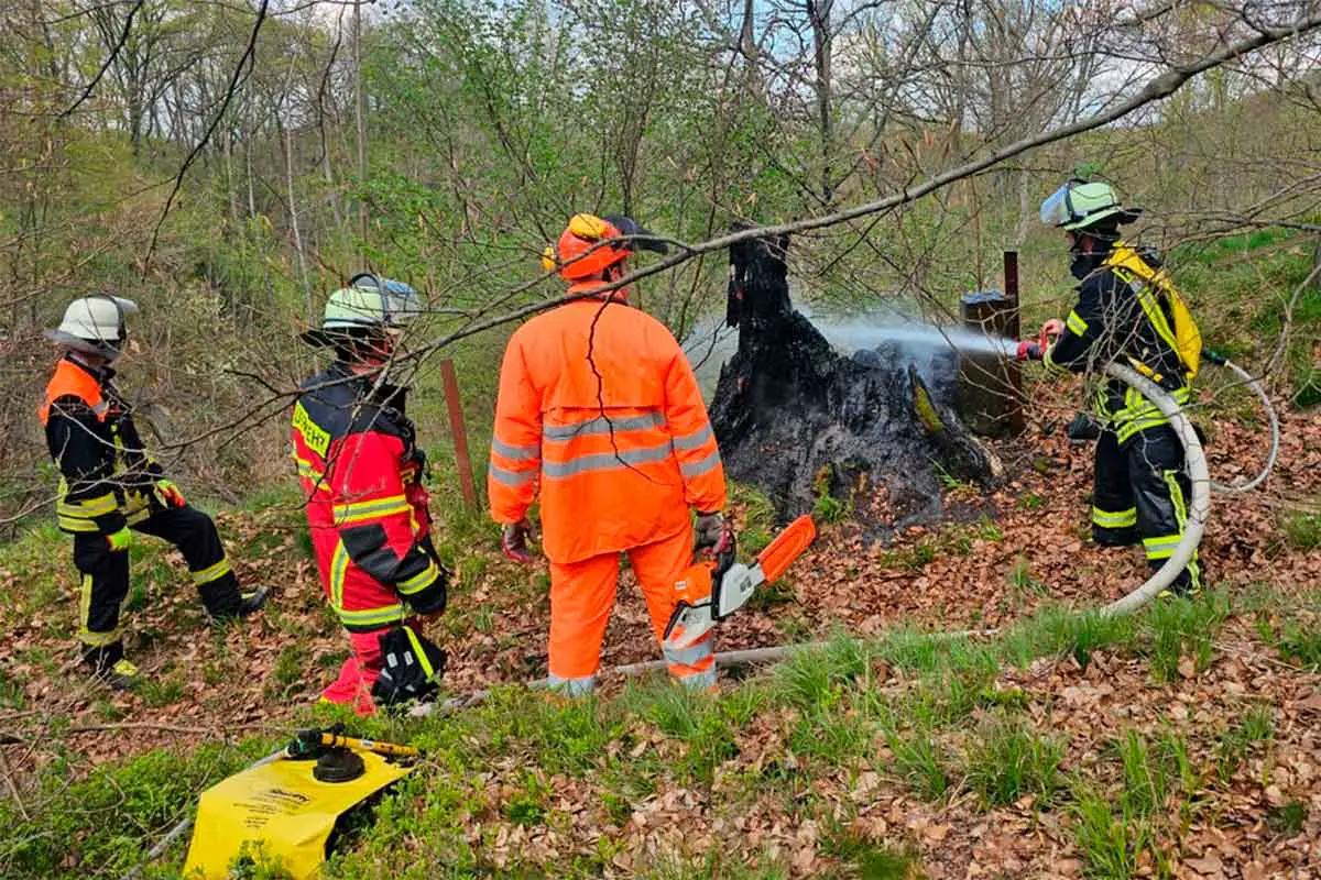 waldbrand