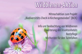 wildbienenaktion