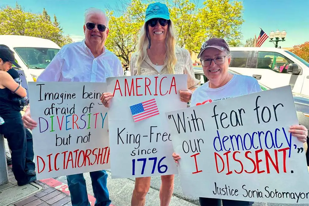 usa demo
