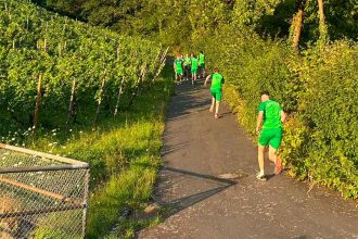 Hfv weinberge