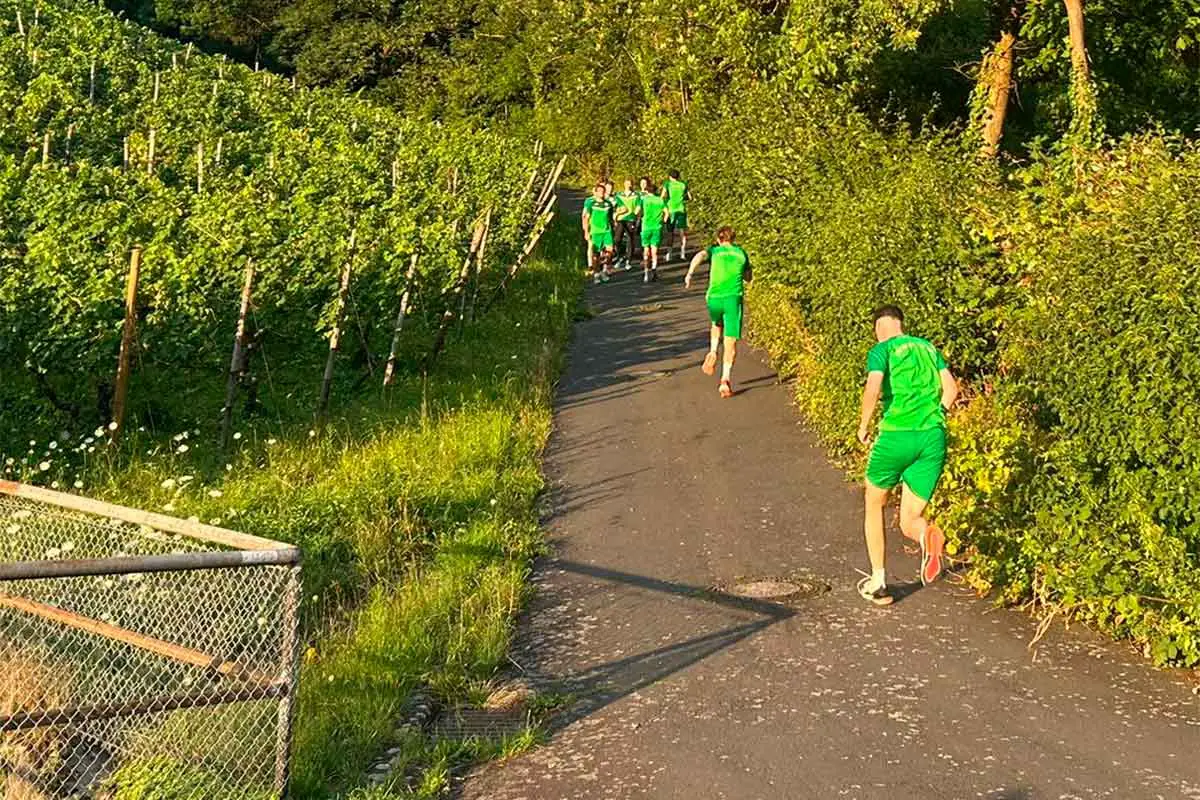 Hfv weinberge