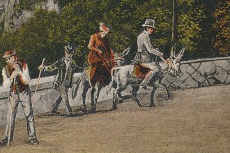 Drachenfels a.rh wanderung