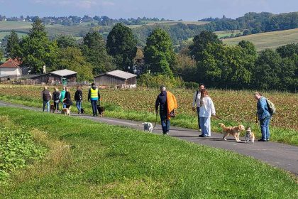 Einladung zur himmlischen hundewanderung