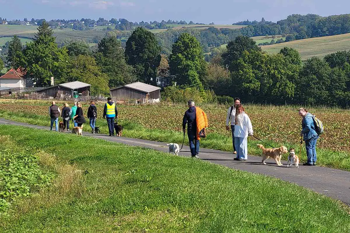 Einladung zur himmlischen hundewanderung