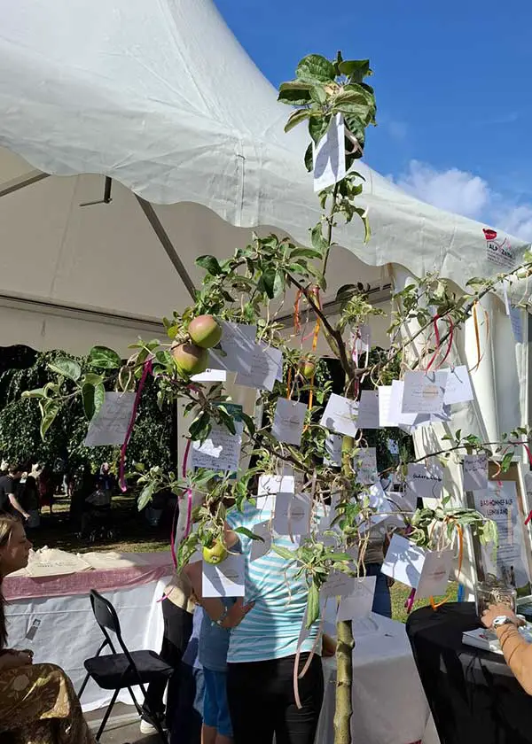 Wünschebaum in voller blüte