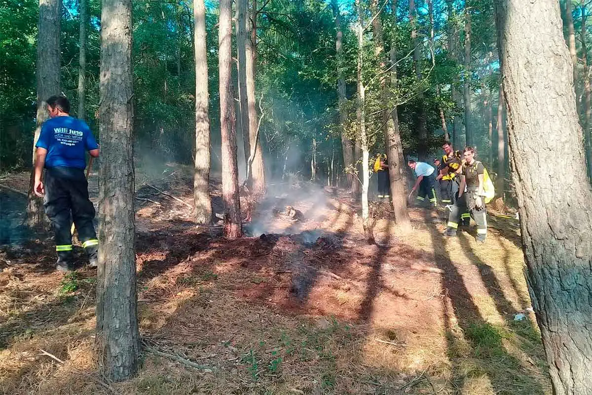 Feuer im Naturpark