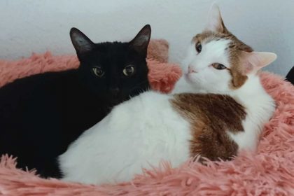 Alma und Manni
