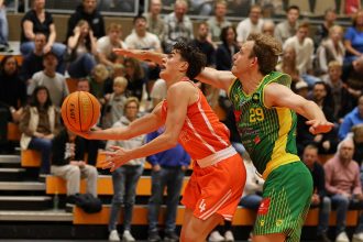 Dragons wedel (10)