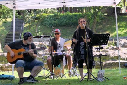 Musik im park (1)