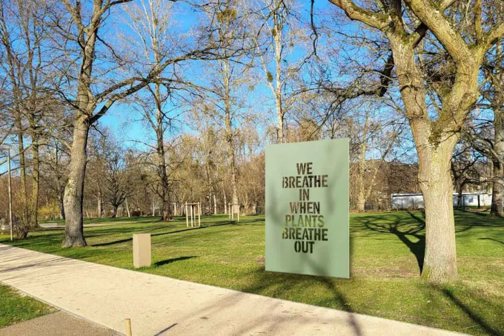 We Breathe in When Plants Breathe Out mockup