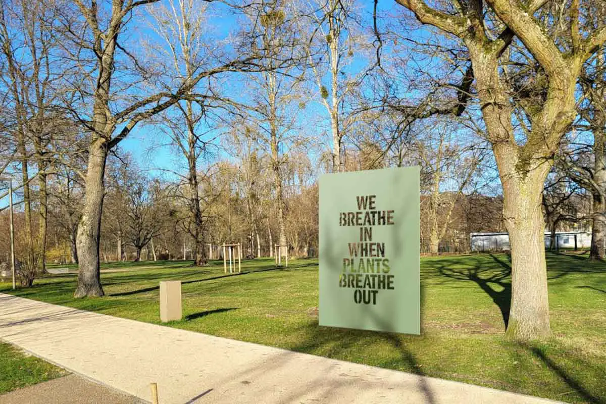 We Breathe in When Plants Breathe Out mockup