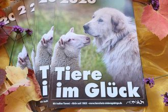 Der Tiere im Glueck Kalender