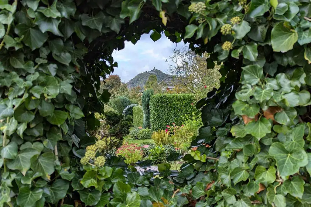 drachenfels