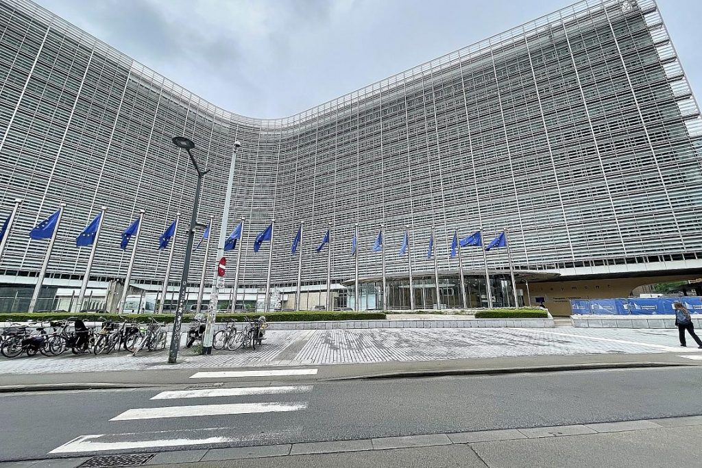 EU-Fahnen (Archiv)
