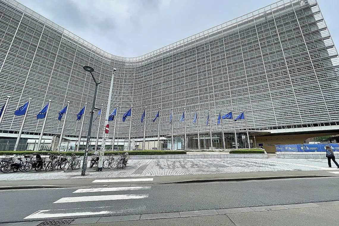 EU-Fahnen (Archiv)