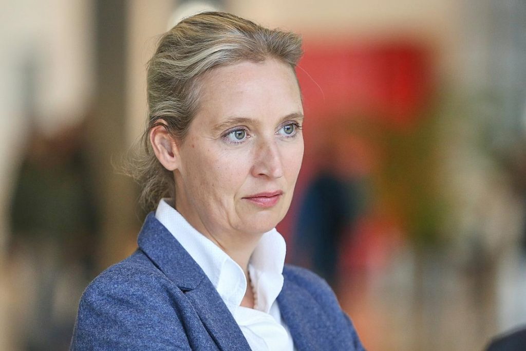 Alice Weidel (Archiv)