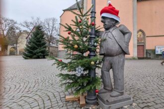 PXL 20251127 132950541