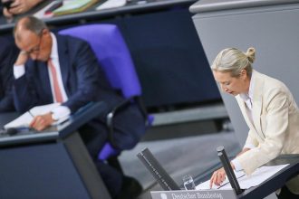 Friedrich Merz und Alice Weidel (AfD) (Archiv)