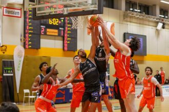 Dragons Neustadt 11