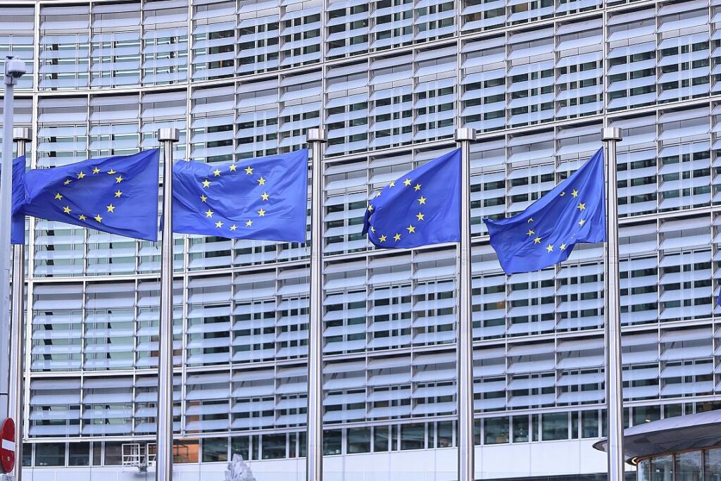 EU-Fahnen (Archiv)