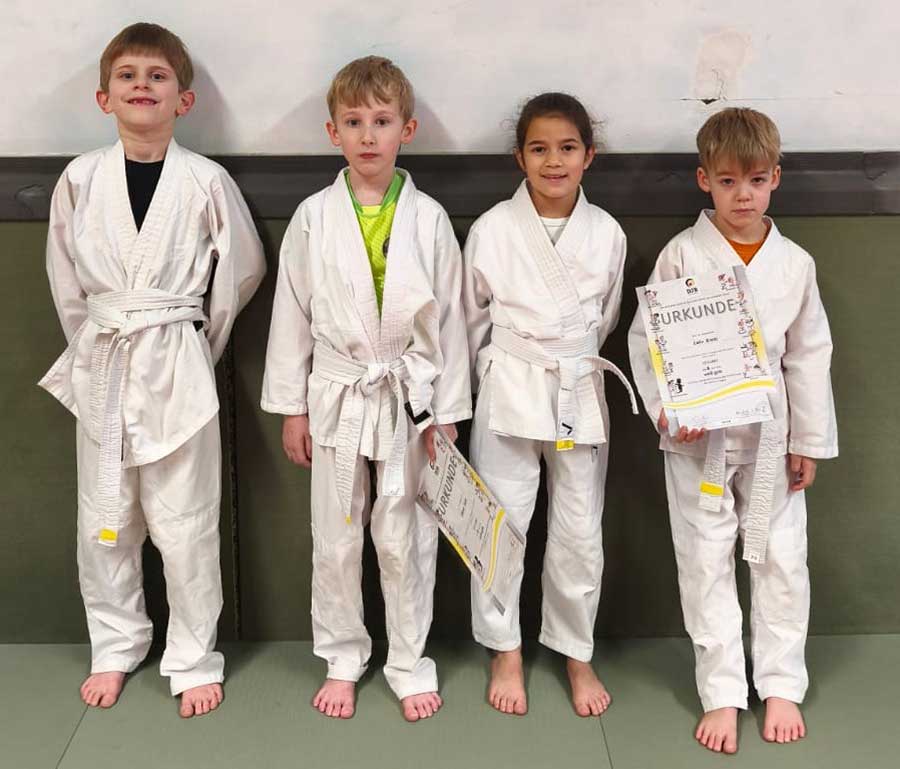 judo