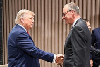 Donald Trump und Friedrich Merz (Archiv)