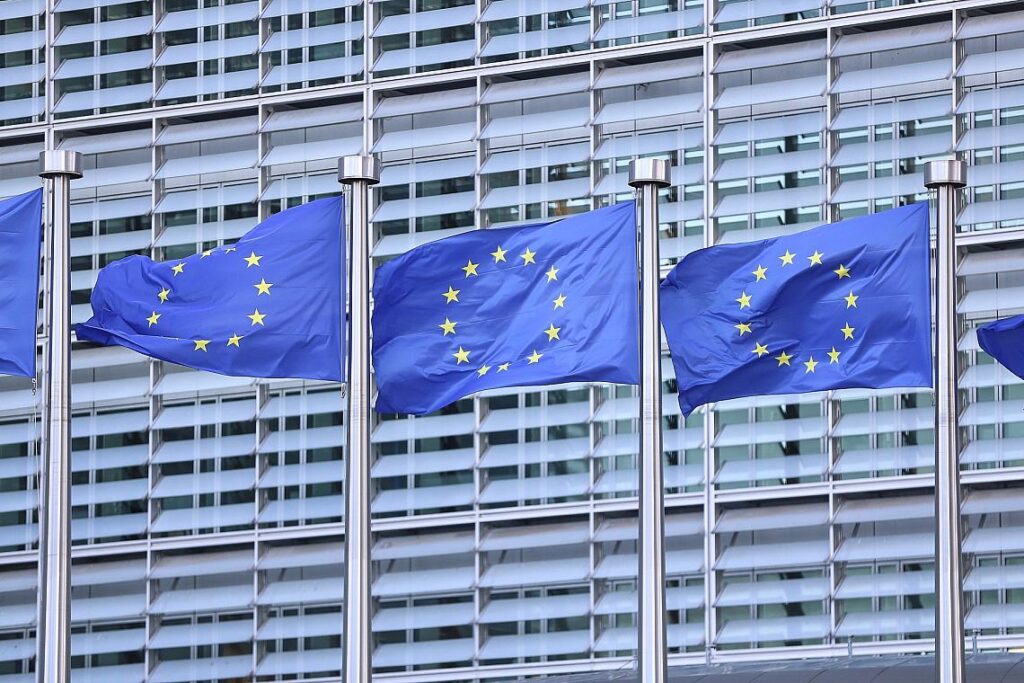 EU-Fahnen (Archiv)