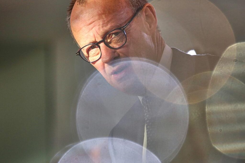 Friedrich Merz (Archiv)