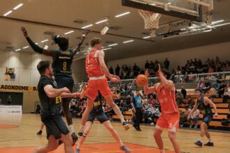 Dragons Westerstede 11