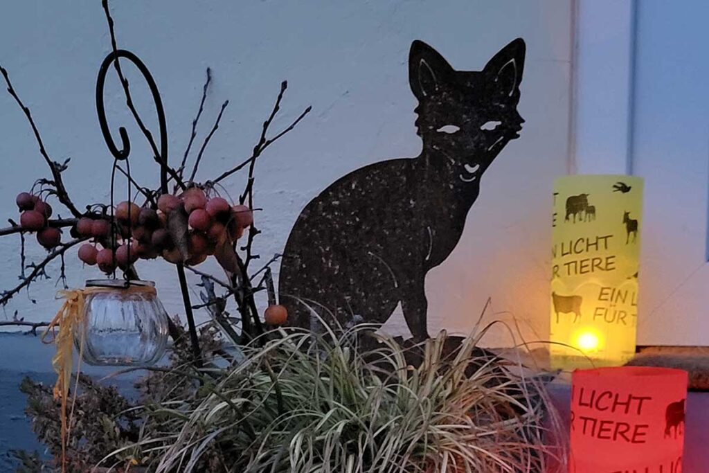 Ein Licht fuer Tiere